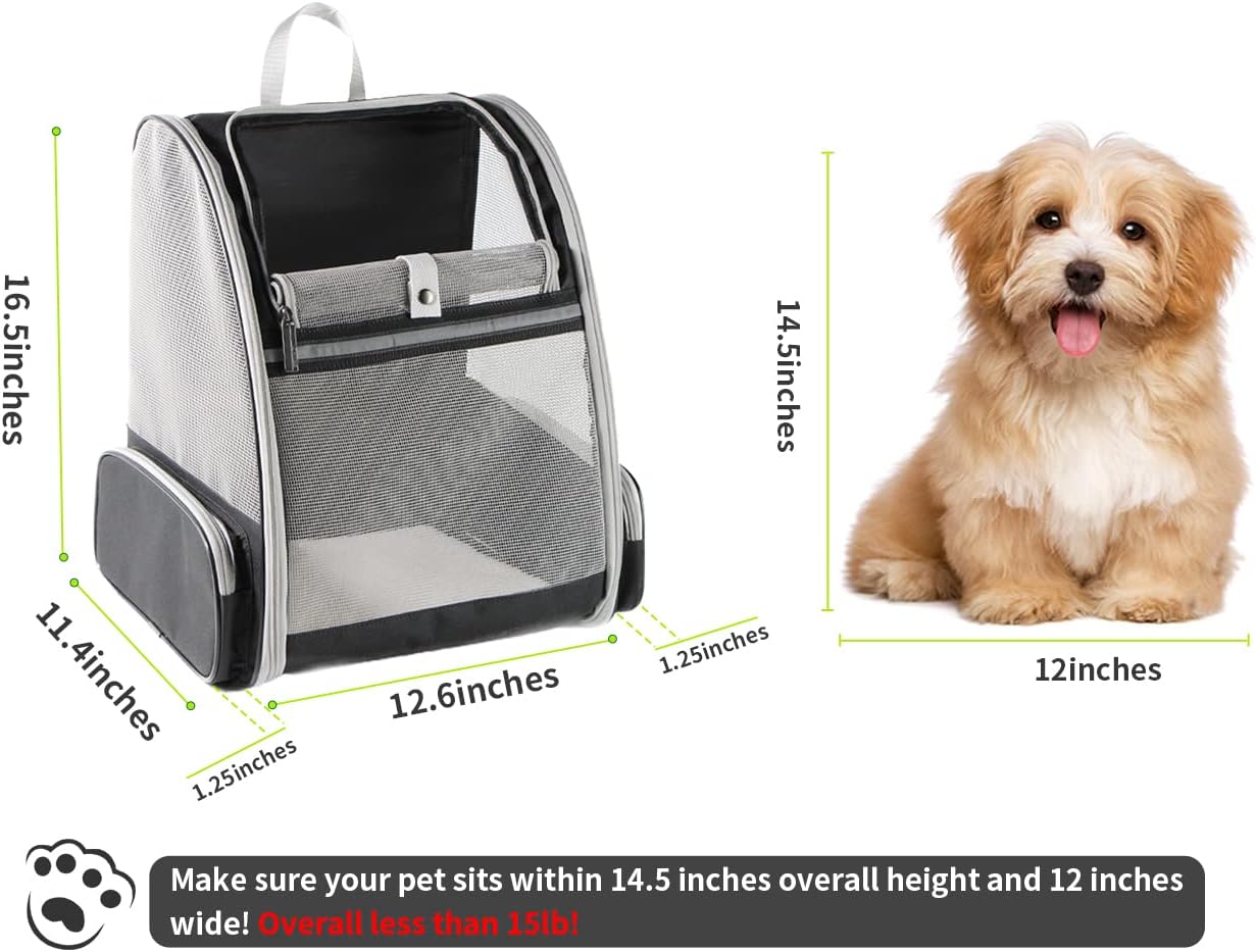 Discover the Innovative Traveler Bubble Backpack
